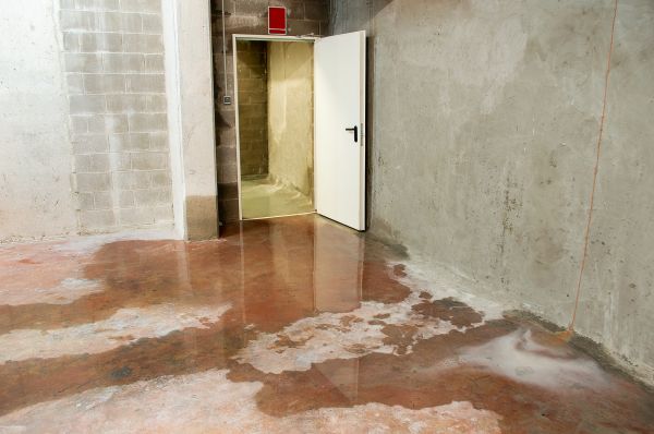 Cost of Wet Basement Repair in New Albany
